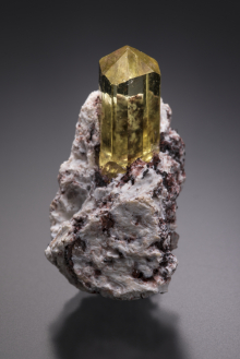 長在圍岩上的金黃色磷灰石晶體（5厘米），產自摩洛哥。完美的寶石級晶體，帶圍岩的完整標本非常罕見。